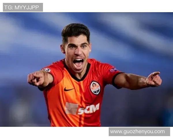 足球明星的华人女友身份揭秘她的背景与故事引发关注